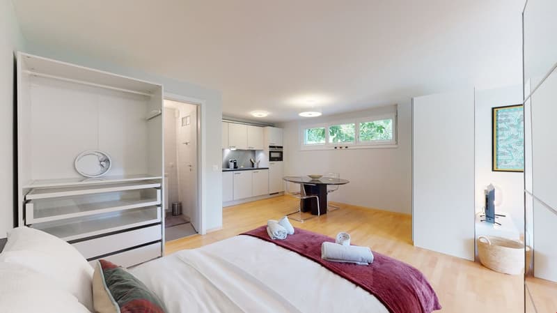 Geräumiges Studio in einer ruhigen Nachbarschaft in Sierre - Verfügbar zwischen 3 und 6 Monaten (12)