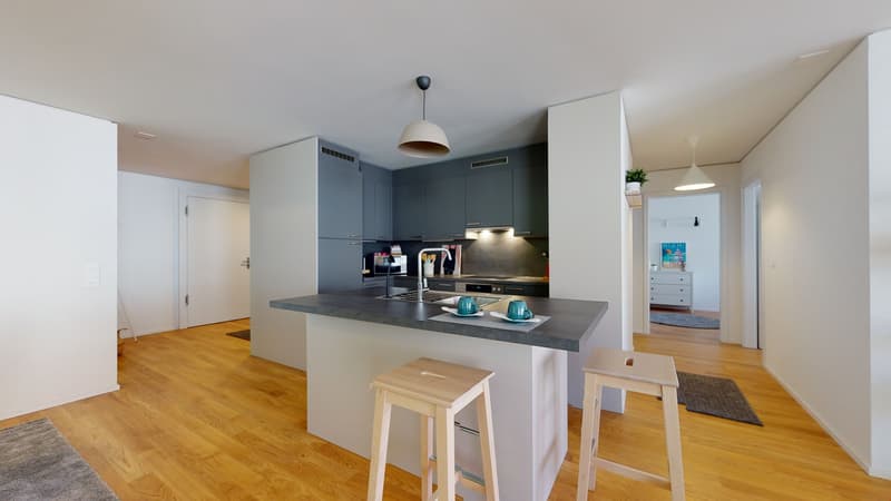 Superbe appartement meublé au centre ville (6)