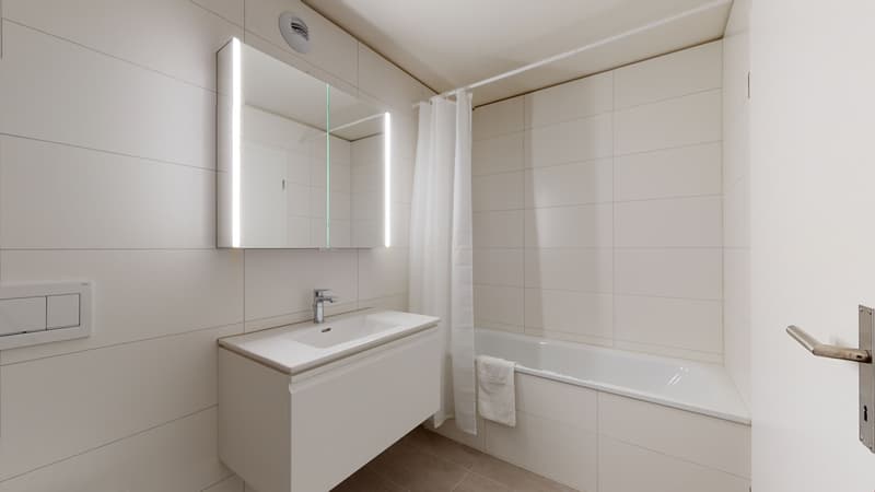 Superbe appartement meublé au centre ville (7)