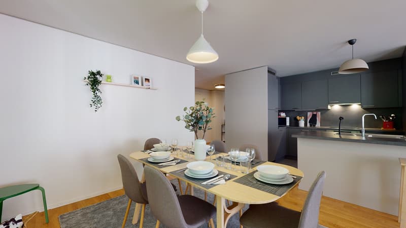 Superbe appartement meublé au centre ville (3)