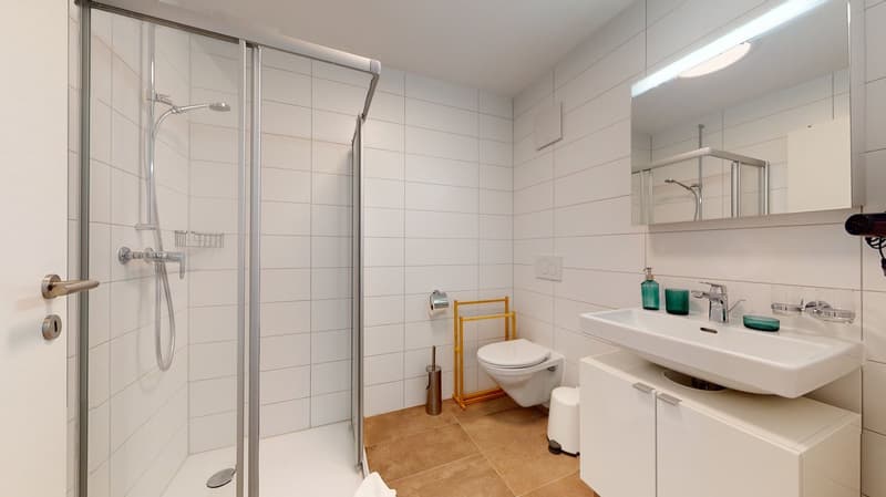 shower, toilet, sink, wall-mounted toilet paper holder, cabinets, mirror, white tiles, silver fixtures