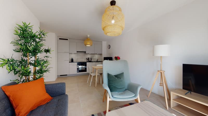 Couch, Table, Chair, floor lamp, kitchen, TV, plant