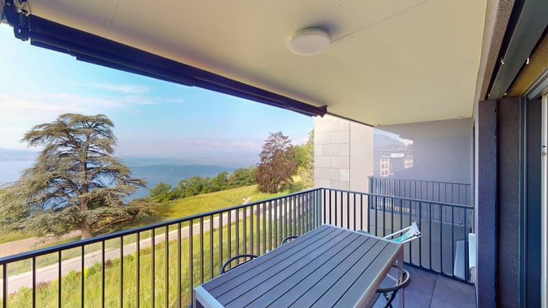 Appartement au cœur de Lavaux avec une vue panoramique sur le lac (2)