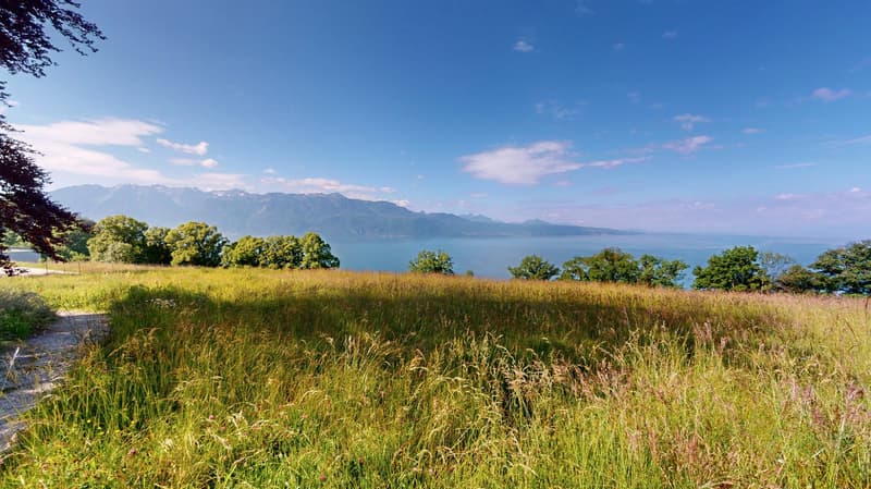 Appartement au cœur de Lavaux avec une vue panoramique sur le lac (16)