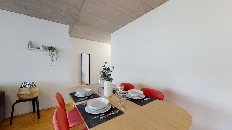 Bel appartement 3.5 pièces lumineux à la Matze, centre ville Sion (12)