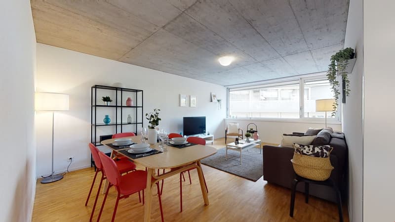 Bel appartement 3.5 pièces lumineux à la Matze, centre ville Sion (11)