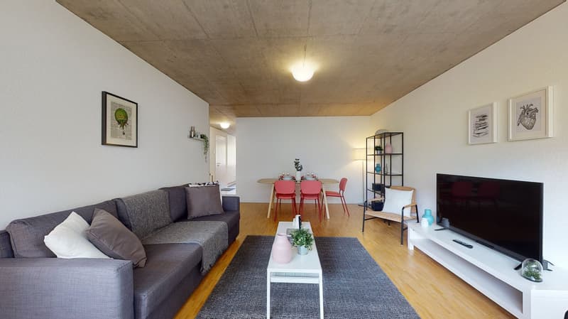 Bel appartement 3.5 pièces lumineux à la Matze, centre ville Sion (1)