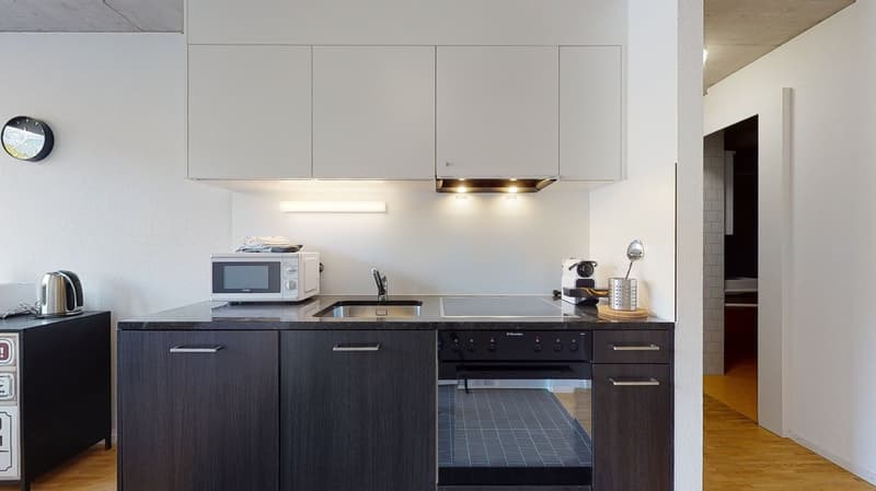 Bel appartement 3.5 pièces lumineux à la Matze, centre ville Sion (4)