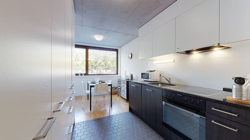 Bel appartement 3.5 pièces lumineux à la Matze, centre ville Sion (3)