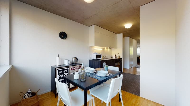 Bel appartement 3.5 pièces lumineux à la Matze, centre ville Sion (5)