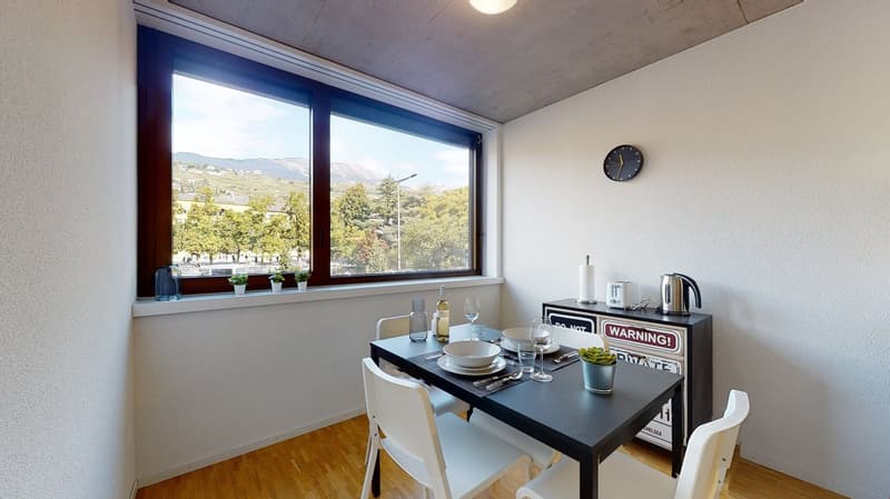 Bel appartement 3.5 pièces lumineux à la Matze, centre ville Sion (6)