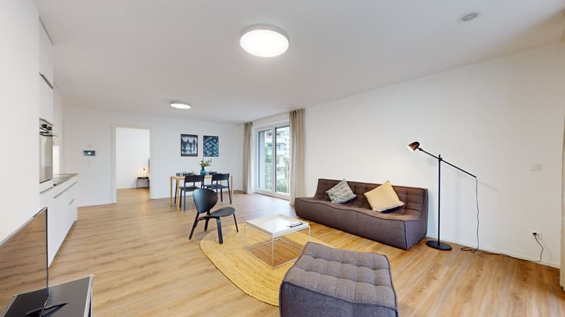 Appartamento moderno e luminoso con balcone (4)