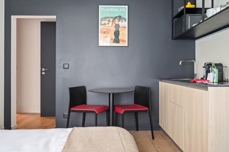 Novantanove appartamento albergo Ginevra Plainpalais - Studio Doppia e Twin (8)