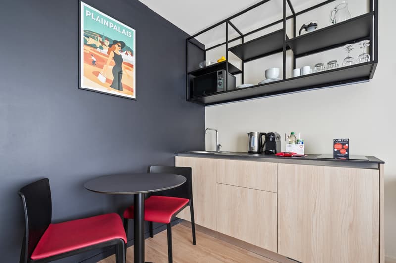 Novantanove appartamento albergo Ginevra Plainpalais - Studio Doppia e Twin (7)