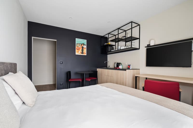 Novantanove appartamento albergo Ginevra Plainpalais - Studio Doppia e Twin (2)