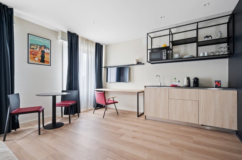 Novantanove appartamento albergo Ginevra Plainpalais - Studio Doppia e Twin (9)
