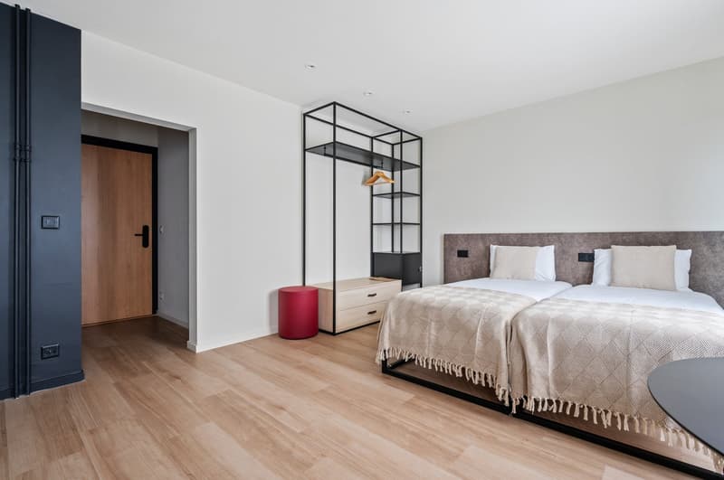 Novantanove appartamento albergo Ginevra Plainpalais - Studio Doppia e Twin (4)