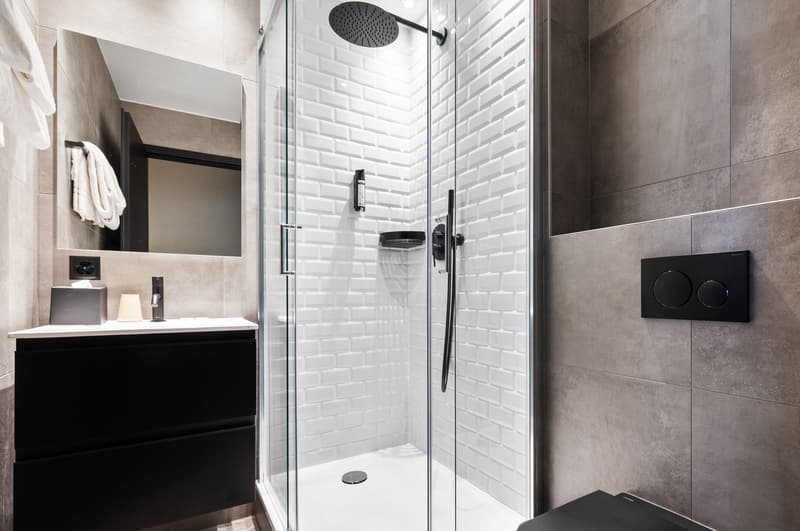 Novantanove appartamento albergo Ginevra Plainpalais - Studio Doppia e Twin (15)