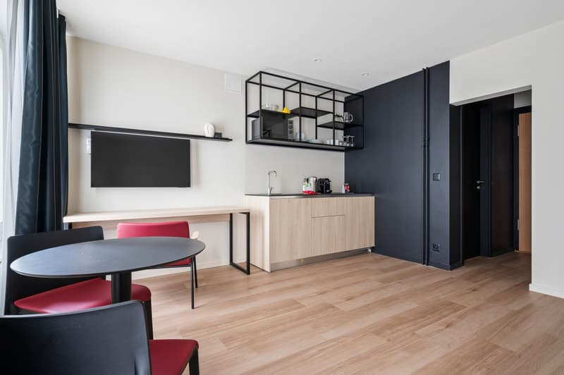 Novantanove appartamento albergo Ginevra Plainpalais - Studio Doppia e Twin (10)