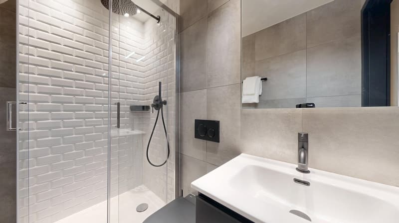 Novantanove appartamento hotel Ginevra Plainpalais - Studio (16)
