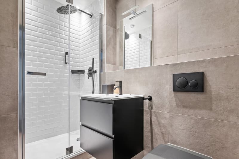 Novantanove appartamento hotel Ginevra Plainpalais - Studio (9)