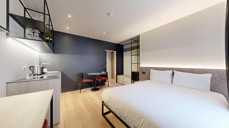 Novantanove appartamento hotel Ginevra Plainpalais - Studio (13)