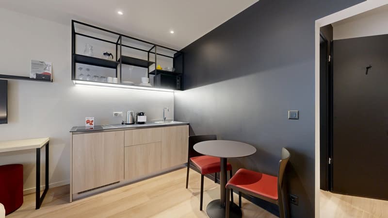 Novantanove appartamento hotel Ginevra Plainpalais - Studio (18)