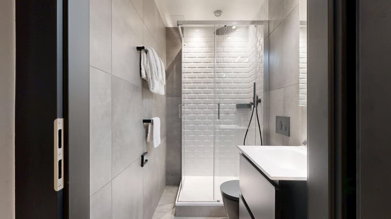 Novantanove appartamento hotel Ginevra Plainpalais - Studio (15)