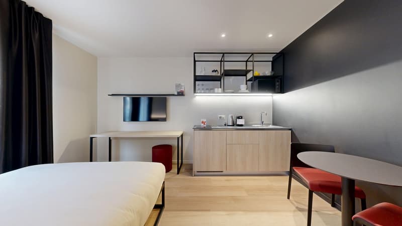 Novantanove appartamento hotel Ginevra Plainpalais - Studio (17)