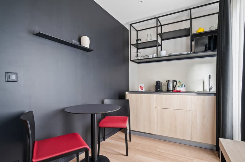 Novantanove appartamento hotel Ginevra Plainpalais - Studio (12)