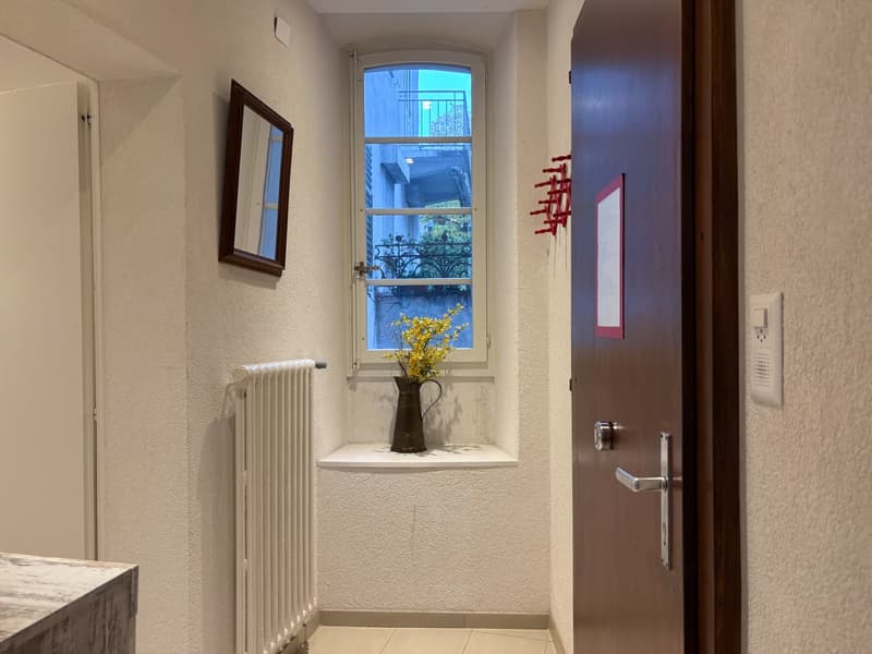 Charming apartment in the heart of Sion (12)