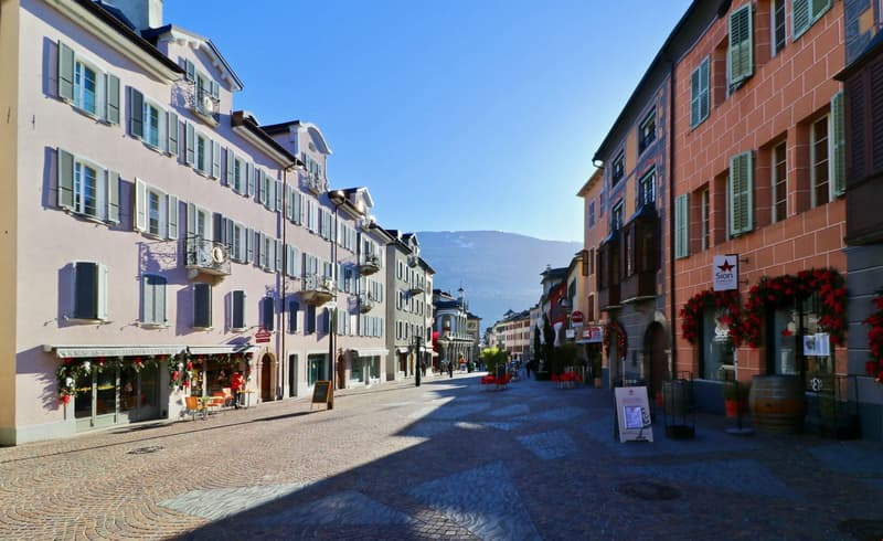 Charming apartment in the heart of Sion (16)
