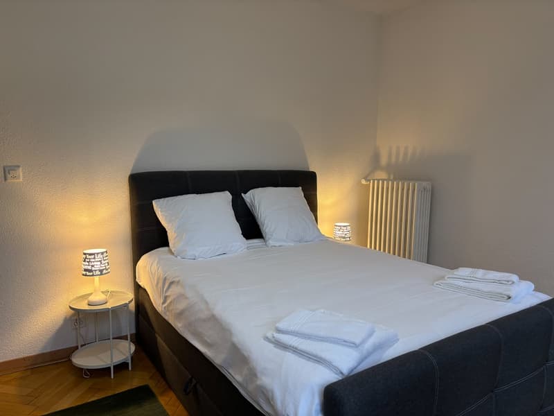 Charming apartment in the heart of Sion (8)