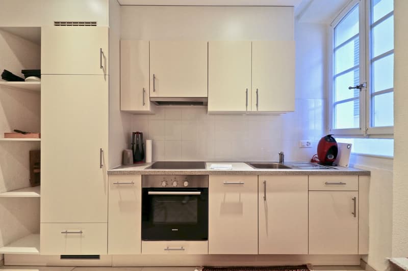 Charming apartment in the heart of Sion (14)
