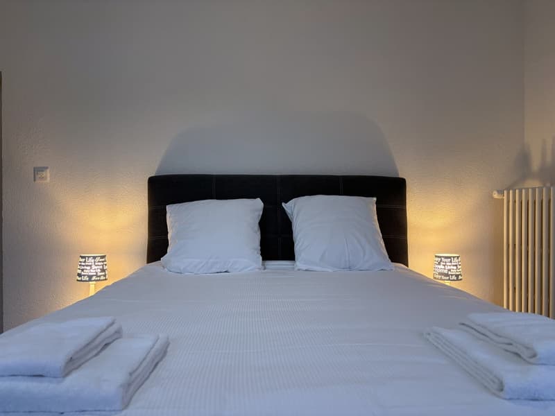 Charming apartment in the heart of Sion (7)