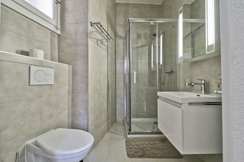 Charming apartment in the heart of Sion (10)