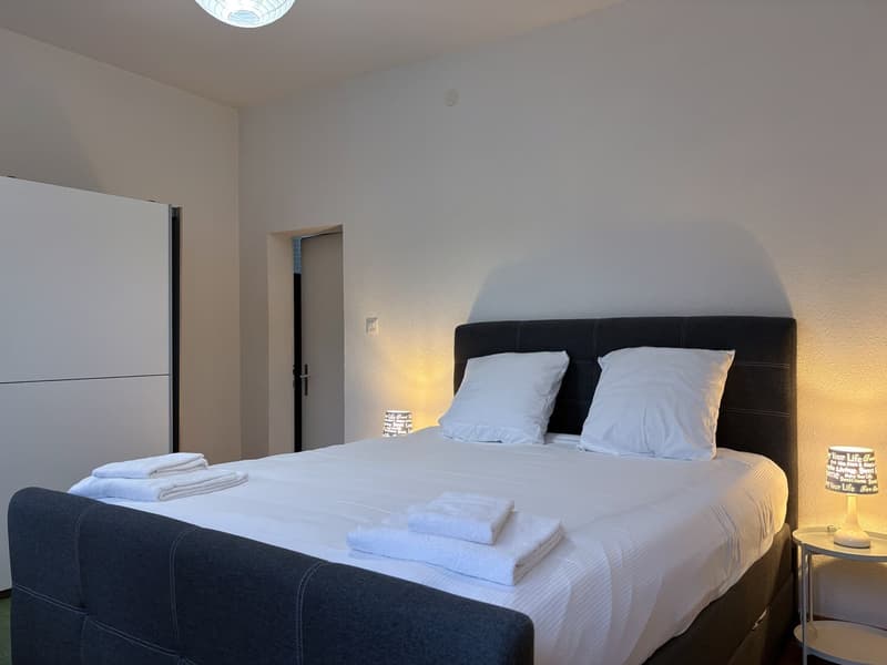 Charming apartment in the heart of Sion (9)