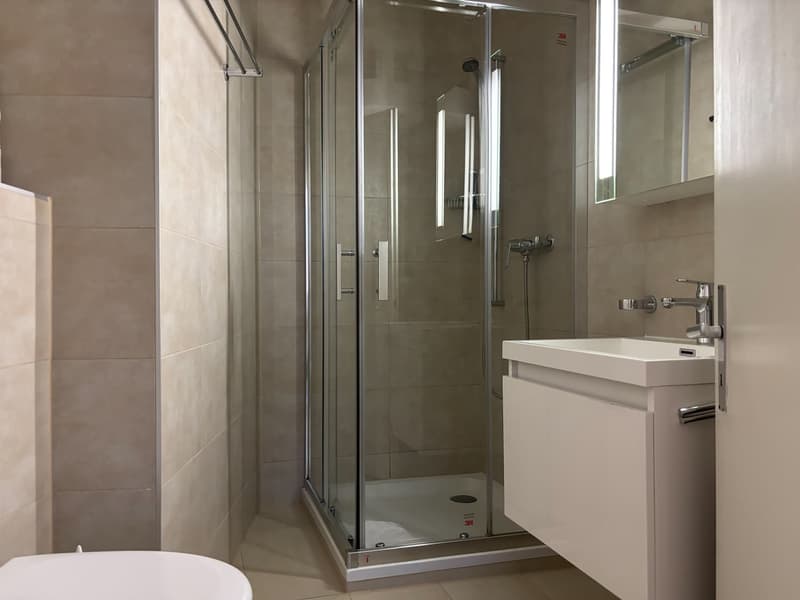 Charming apartment in the heart of Sion (11)