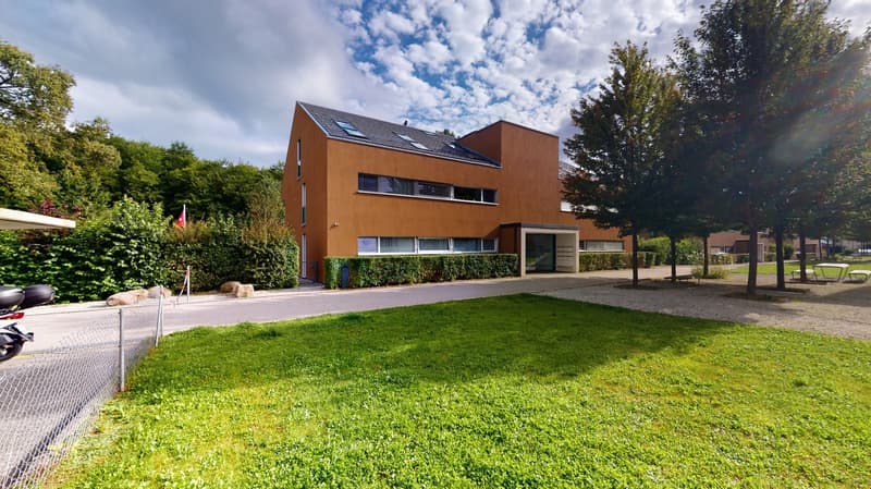 Contemporary brown house with gray roof, surrounded by trees and a large front lawn.