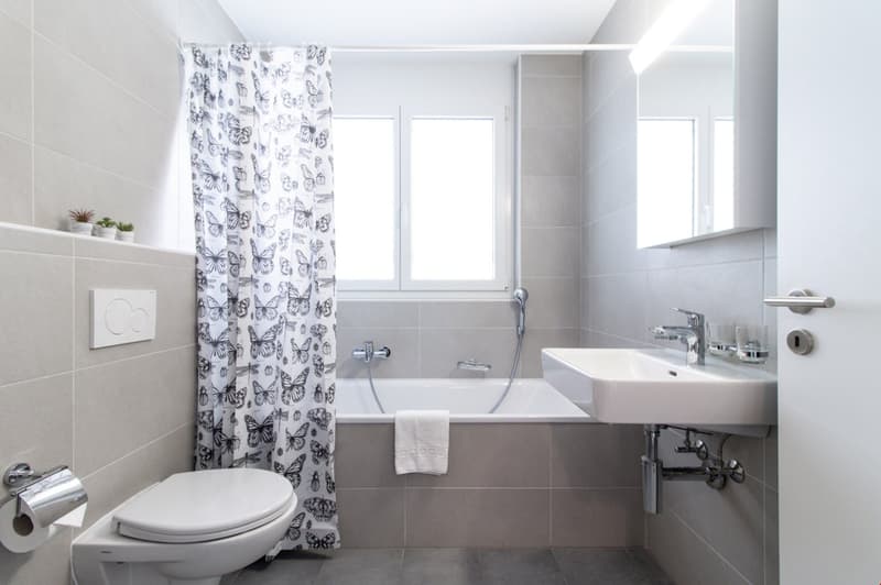 Appartement moderne et meublé, à quelques minutes du bord du lac Léman (14)