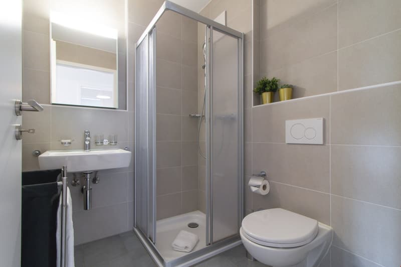 Appartement moderne et meublé, à quelques minutes du bord du lac Léman (11)
