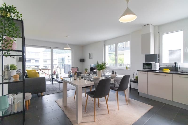 Appartement moderne et meublé, à quelques minutes du bord du lac Léman (6)