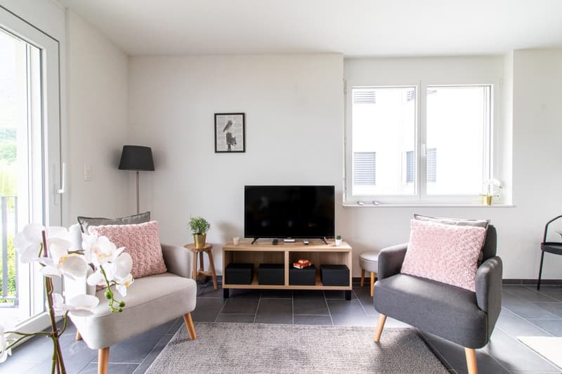 Appartement moderne et meublé, à quelques minutes du bord du lac Léman (5)