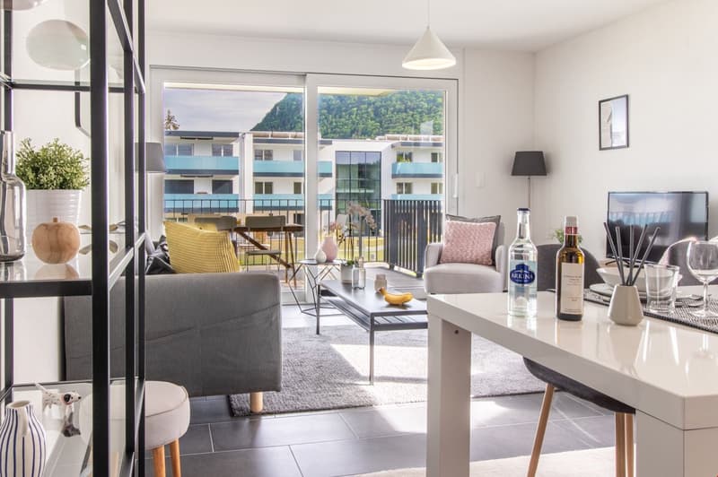 Appartement moderne et meublé, à quelques minutes du bord du lac Léman (2)