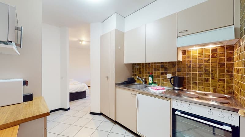 Studio spacieux dans un joli quartier à Sierre (3)