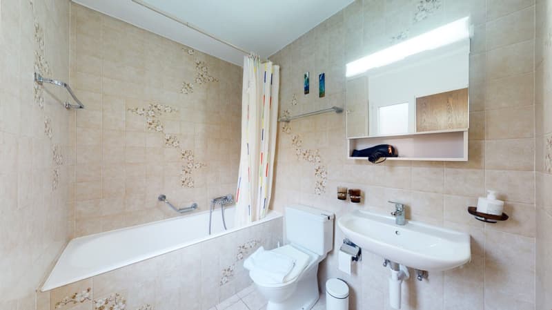 Studio spacieux dans un joli quartier à Sierre (8)