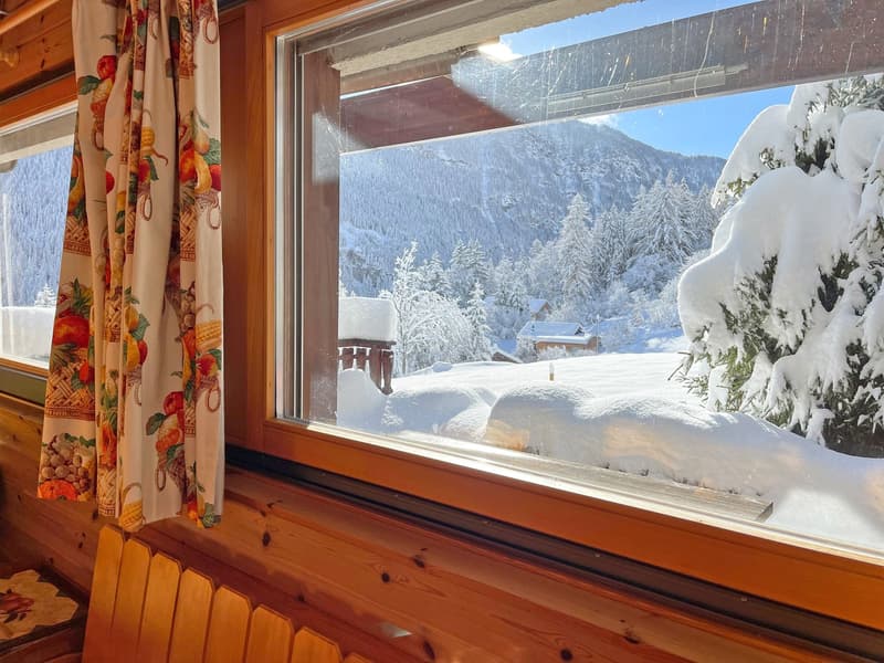À la saison - Splendide chalet, entouré de verdure, aux Marécottes (4)