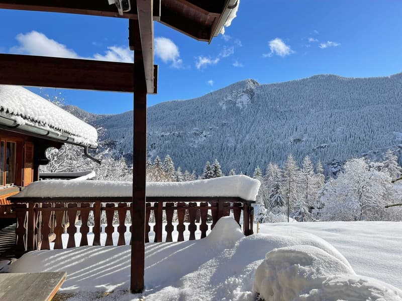 À la saison - Splendide chalet, entouré de verdure, aux Marécottes (3)