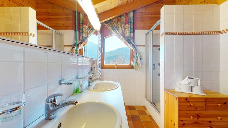 À la saison - Splendide chalet, entouré de verdure, aux Marécottes (10)