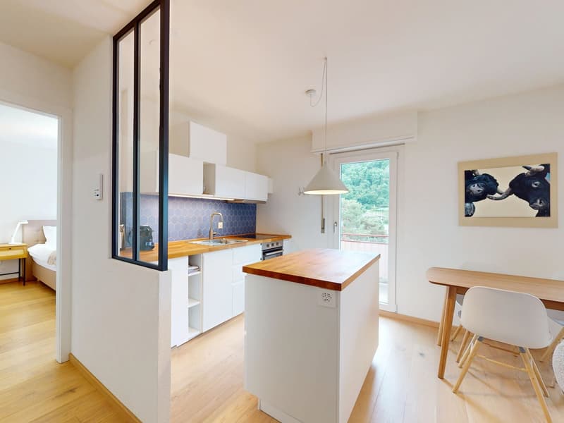Appartement lumineux à Sion (5)